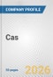 Cas Fundamental Company Report Including Financial, SWOT, Competitors and Industry Analysis - Product Thumbnail Image