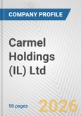 Carmel Holdings (IL) Ltd. Fundamental Company Report Including Financial, SWOT, Competitors and Industry Analysis- Product Image