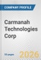 Carmanah Technologies Corp. Fundamental Company Report Including Financial, SWOT, Competitors and Industry Analysis - Product Thumbnail Image