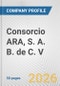 Consorcio ARA, S. A. B. de C. V. Fundamental Company Report Including Financial, SWOT, Competitors and Industry Analysis - Product Thumbnail Image