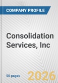 Consolidation Services, Inc. Fundamental Company Report Including Financial, SWOT, Competitors and Industry Analysis- Product Image