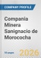 Compania Minera Sanignacio de Morococha Fundamental Company Report Including Financial, SWOT, Competitors and Industry Analysis - Product Thumbnail Image