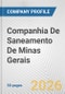 Companhia De Saneamento De Minas Gerais. Fundamental Company Report Including Financial, SWOT, Competitors and Industry Analysis - Product Thumbnail Image