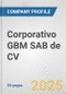 Corporativo GBM SAB de CV Fundamental Company Report Including Financial, SWOT, Competitors and Industry Analysis - Product Thumbnail Image