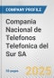 Compania Nacional de Telefonos Telefonica del Sur SA Fundamental Company Report Including Financial, SWOT, Competitors and Industry Analysis - Product Thumbnail Image