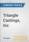 Triangle Castings, Inc. Fundamental Company Report Including Financial, SWOT, Competitors and Industry Analysis - Product Thumbnail Image