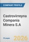 Castrovirreyna Compania Minera S.A. Fundamental Company Report Including Financial, SWOT, Competitors and Industry Analysis - Product Thumbnail Image