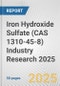 Iron Hydroxide Sulfate (CAS 1310-45-8) Industry Research 2025: Global and Regional Market Trends 2019-2024 and Forecast to 2029 - Product Image