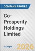 Co-Prosperity Holdings Limited Fundamental Company Report Including Financial, SWOT, Competitors and Industry Analysis- Product Image