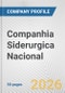 Companhia Siderurgica Nacional Fundamental Company Report Including Financial, SWOT, Competitors and Industry Analysis - Product Thumbnail Image