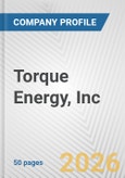 Torque Energy, Inc. Fundamental Company Report Including Financial, SWOT, Competitors and Industry Analysis- Product Image