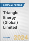 Triangle Energy (Global) Limited Fundamental Company Report Including Financial, SWOT, Competitors and Industry Analysis- Product Image