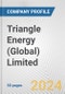 Triangle Energy (Global) Limited Fundamental Company Report Including Financial, SWOT, Competitors and Industry Analysis - Product Thumbnail Image