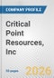 Critical Point Resources, Inc. Fundamental Company Report Including Financial, SWOT, Competitors and Industry Analysis - Product Thumbnail Image