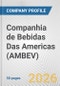 Companhia de Bebidas Das Americas (AMBEV) Fundamental Company Report Including Financial, SWOT, Competitors and Industry Analysis - Product Thumbnail Image