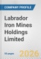 Labrador Iron Mines Holdings Limited. Fundamental Company Report Including Financial, SWOT, Competitors and Industry Analysis - Product Thumbnail Image