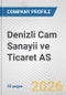 Denizli Cam Sanayii ve Ticaret AS Fundamental Company Report Including Financial, SWOT, Competitors and Industry Analysis - Product Thumbnail Image