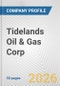 Tidelands Oil & Gas Corp. Fundamental Company Report Including Financial, SWOT, Competitors and Industry Analysis - Product Thumbnail Image