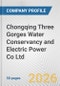 Chongqing Three Gorges Water Conservancy and Electric Power Co Ltd Fundamental Company Report Including Financial, SWOT, Competitors and Industry Analysis - Product Thumbnail Image