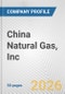 China Natural Gas, Inc. Fundamental Company Report Including Financial, SWOT, Competitors and Industry Analysis - Product Thumbnail Image