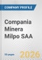 Compania Minera Milpo SAA Fundamental Company Report Including Financial, SWOT, Competitors and Industry Analysis - Product Thumbnail Image
