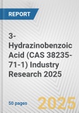 3-Hydrazinobenzoic Acid (CAS 38235-71-1) Industry Research 2025: Global and Regional Market Trends 2019-2024 and Forecast to 2029- Product Image