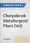 Chelyabinsk Metallurgical Plant OAO Fundamental Company Report Including Financial, SWOT, Competitors and Industry Analysis - Product Thumbnail Image