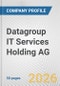Datagroup IT Services Holding AG Fundamental Company Report Including Financial, SWOT, Competitors and Industry Analysis - Product Thumbnail Image