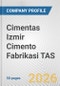 Cimentas Izmir Cimento Fabrikasi TAS Fundamental Company Report Including Financial, SWOT, Competitors and Industry Analysis - Product Thumbnail Image