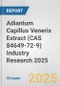 Adiantum Capillus Veneris Extract (CAS 84649-72-9) Industry Research 2025: Global and Regional Market Trends 2019-2024 and Forecast to 2029 - Product Thumbnail Image