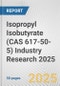 Isopropyl Isobutyrate (CAS 617-50-5) Industry Research 2025: Global and Regional Market Trends 2019-2024 and Forecast to 2029 - Product Image