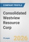Consolidated Westview Resource Corp. Fundamental Company Report Including Financial, SWOT, Competitors and Industry Analysis - Product Thumbnail Image