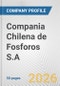 Compania Chilena de Fosforos S.A. Fundamental Company Report Including Financial, SWOT, Competitors and Industry Analysis - Product Thumbnail Image