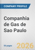 Companhia de Gas de Sao Paulo Fundamental Company Report Including Financial, SWOT, Competitors and Industry Analysis- Product Image