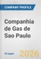 Companhia de Gas de Sao Paulo Fundamental Company Report Including Financial, SWOT, Competitors and Industry Analysis - Product Thumbnail Image