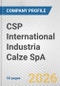 CSP International Industria Calze SpA Fundamental Company Report Including Financial, SWOT, Competitors and Industry Analysis - Product Thumbnail Image