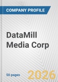 DataMill Media Corp. Fundamental Company Report Including Financial, SWOT, Competitors and Industry Analysis- Product Image