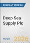 Deep Sea Supply Plc Fundamental Company Report Including Financial, SWOT, Competitors and Industry Analysis - Product Thumbnail Image