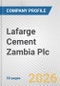 Lafarge Cement Zambia Plc Fundamental Company Report Including Financial, SWOT, Competitors and Industry Analysis - Product Thumbnail Image