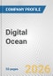 Digital Ocean Fundamental Company Report Including Financial, SWOT, Competitors and Industry Analysis - Product Thumbnail Image