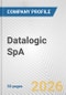 Datalogic SpA Fundamental Company Report Including Financial, SWOT, Competitors and Industry Analysis - Product Thumbnail Image
