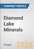 Diamond Lake Minerals Fundamental Company Report Including Financial, SWOT, Competitors and Industry Analysis- Product Image