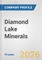 Diamond Lake Minerals Fundamental Company Report Including Financial, SWOT, Competitors and Industry Analysis - Product Thumbnail Image