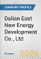 Dalian East New Energy Development Co., Ltd. Fundamental Company Report Including Financial, SWOT, Competitors and Industry Analysis - Product Thumbnail Image