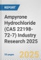 Ampyrone Hydrochloride (CAS 22198-72-7) Industry Research 2025: Global and Regional Market Trends 2019-2024 and Forecast to 2029 - Product Thumbnail Image