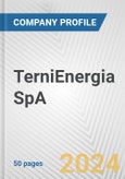 TerniEnergia SpA Fundamental Company Report Including Financial, SWOT, Competitors and Industry Analysis- Product Image