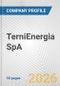 TerniEnergia SpA Fundamental Company Report Including Financial, SWOT, Competitors and Industry Analysis - Product Thumbnail Image