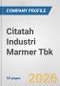 Citatah Industri Marmer Tbk Fundamental Company Report Including Financial, SWOT, Competitors and Industry Analysis - Product Thumbnail Image