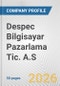 Despec Bilgisayar Pazarlama Tic. A.S. Fundamental Company Report Including Financial, SWOT, Competitors and Industry Analysis - Product Thumbnail Image