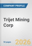 Trijet Mining Corp. Fundamental Company Report Including Financial, SWOT, Competitors and Industry Analysis- Product Image